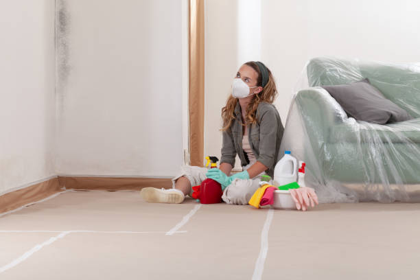 Reliable Basement Mold Removal contractor in Karthaus, PA by WQB Mold Removal